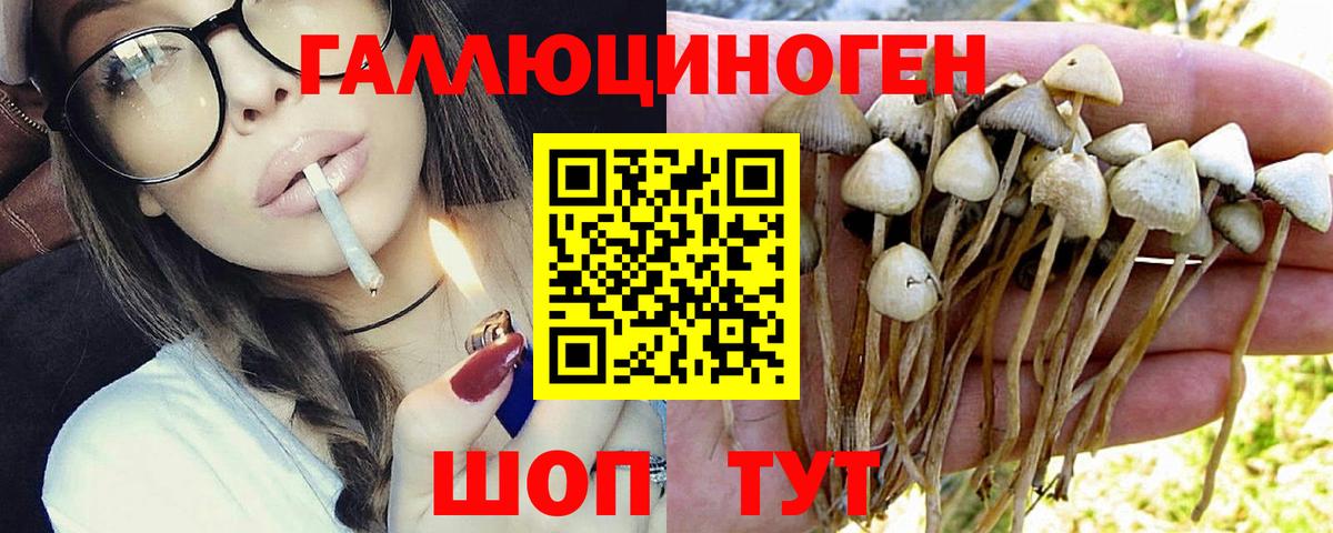 Псилоцибиновые грибы GOLDEN TEACHER Пыть-Ях